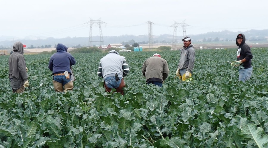 Commission on Agricultural Workers